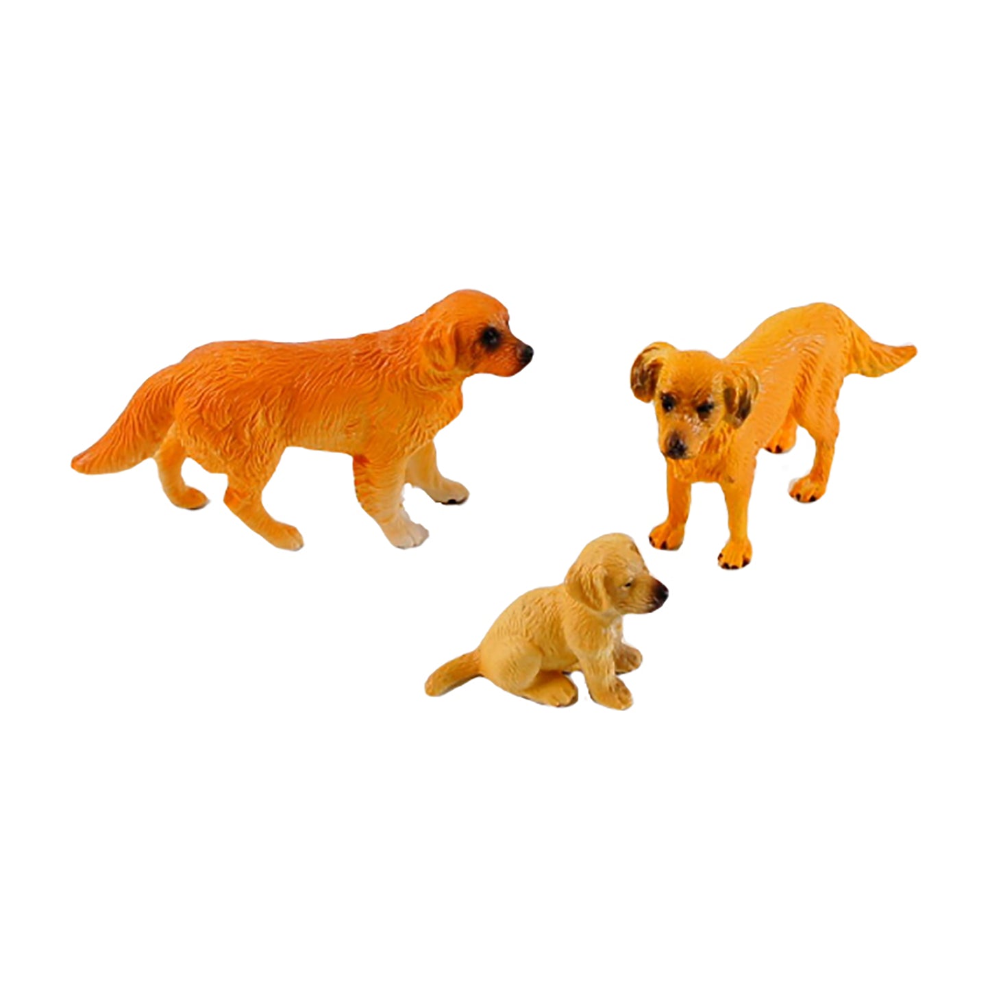 Animal Family- Dog， Custom Text，Bilingual，Monolingual