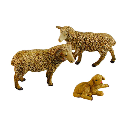 Animal Family- Sheep， Custom Text，Bilingual，Monolingual