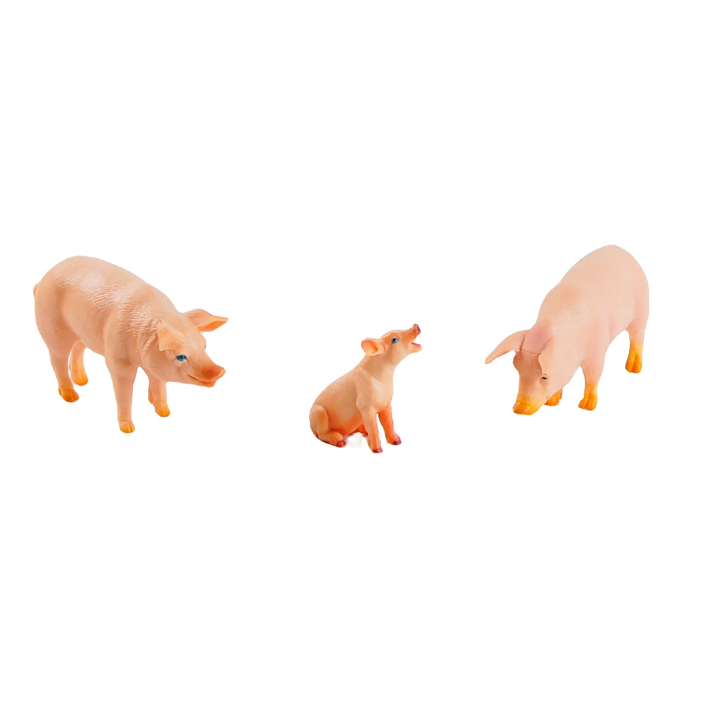 Animal Family- Pig， Custom Text，Bilingual，Monolingual
