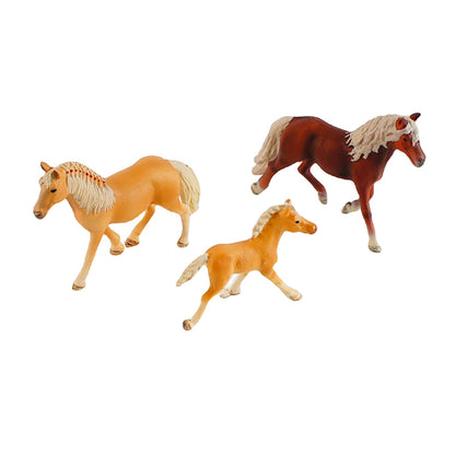 Animal Family- Horse， Custom Text，Bilingual，Monolingual