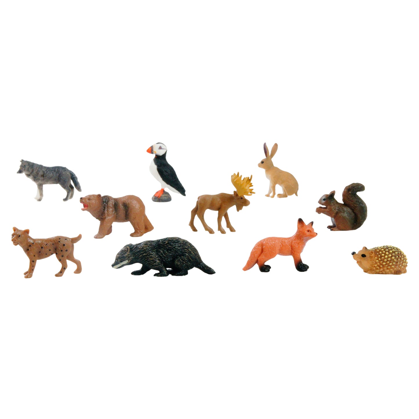 Mini Animaux continentaux – Europe, texte personnalisé, bilingue, monolingue