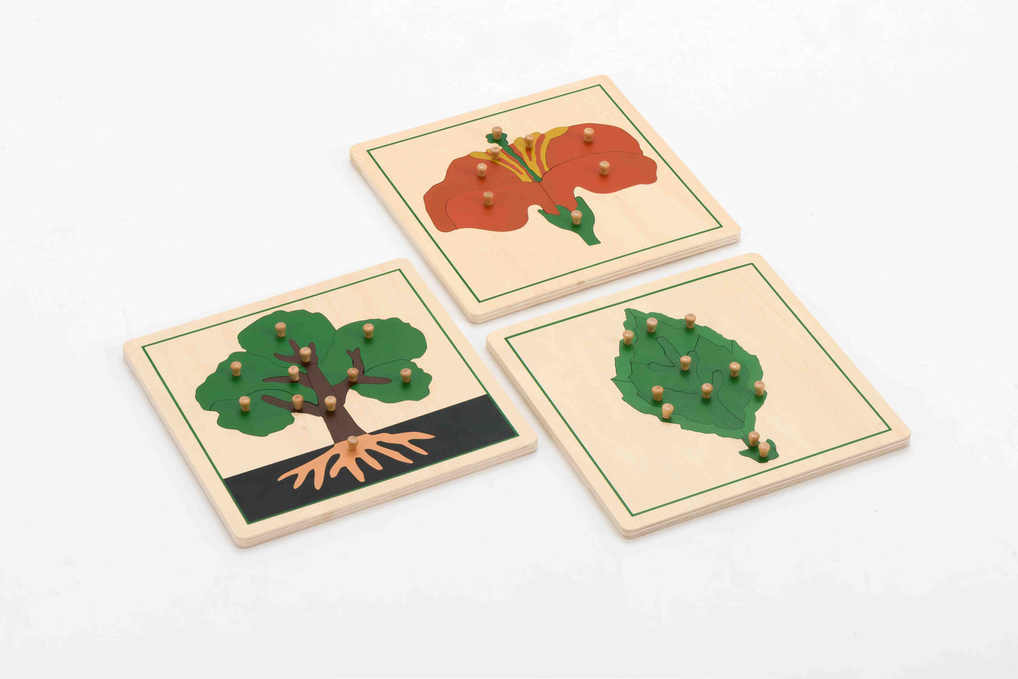 Botany Puzzles