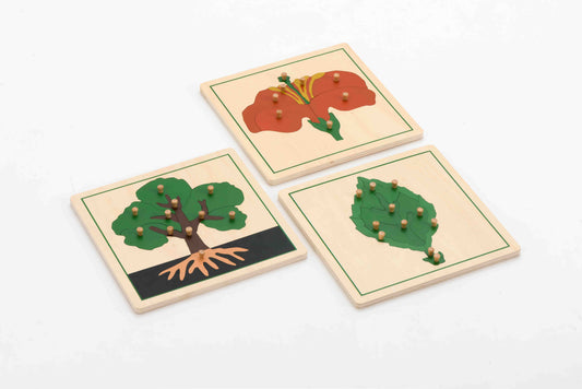 Botany Puzzles
