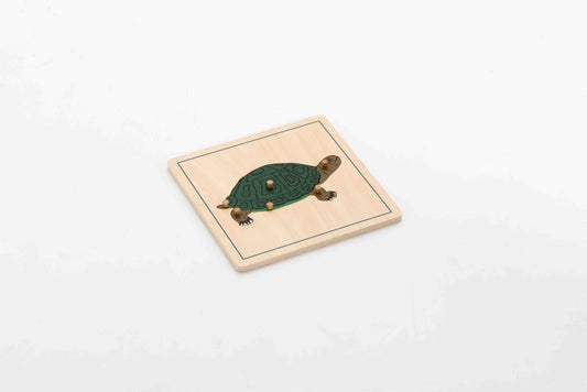 Puzzle Turtle