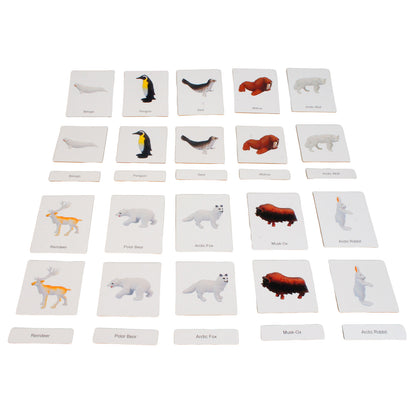 Mini Animaux continentaux – Polaire, texte personnalisé, bilingue, monolingue