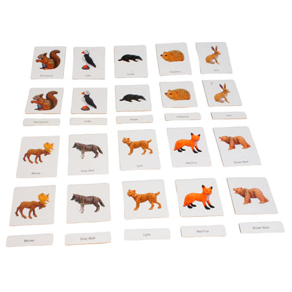 Mini Animaux continentaux – Europe, texte personnalisé, bilingue, monolingue