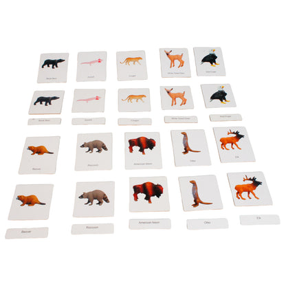 Mini-animaux continentaux – Amérique du Nord, texte personnalisé, bilingue, monolingue
