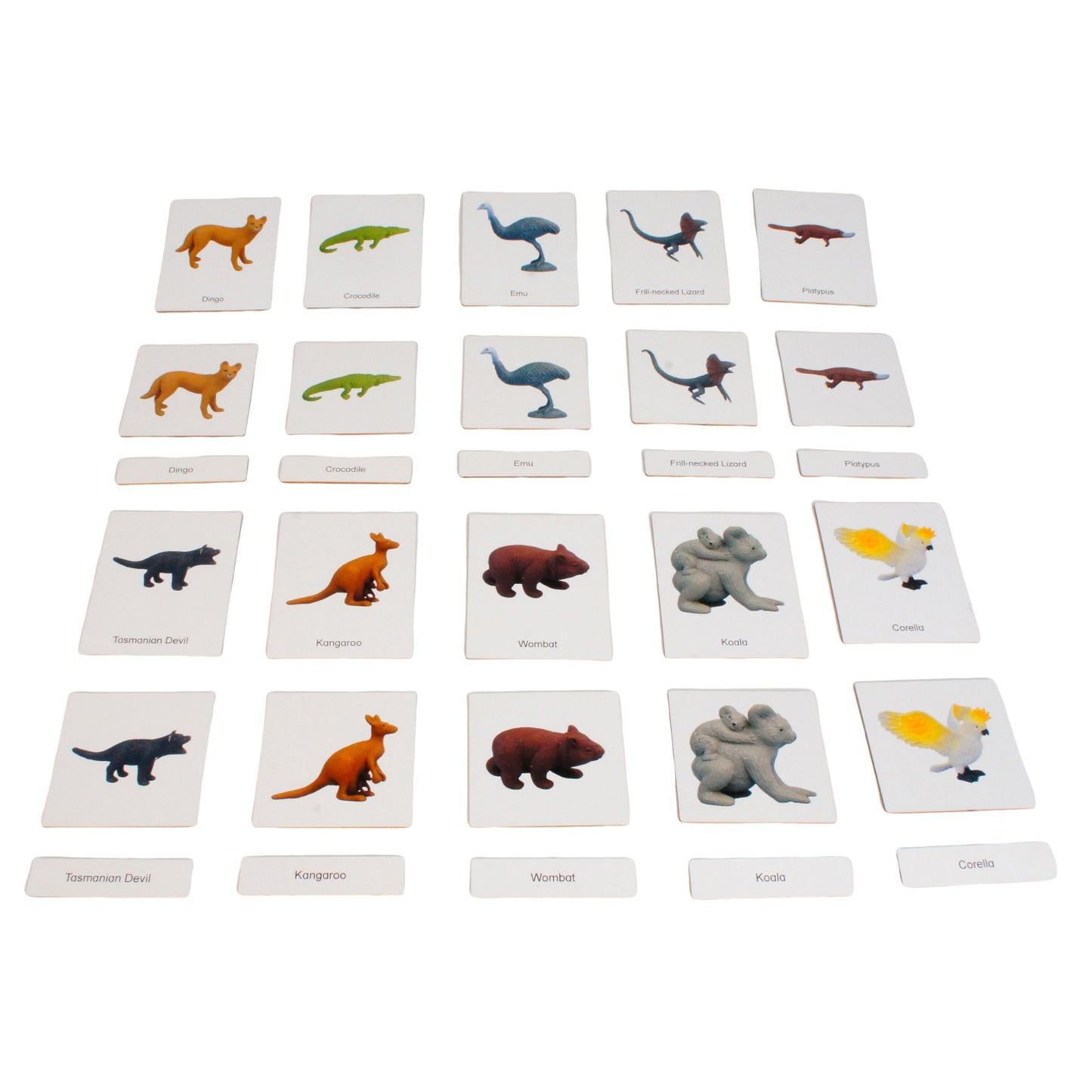 Mini-animaux continentaux – Australasie, texte personnalisé, bilingue, monolingue