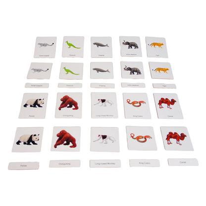 Mini Animaux continentaux – Asie, texte personnalisé, bilingue, monolingue