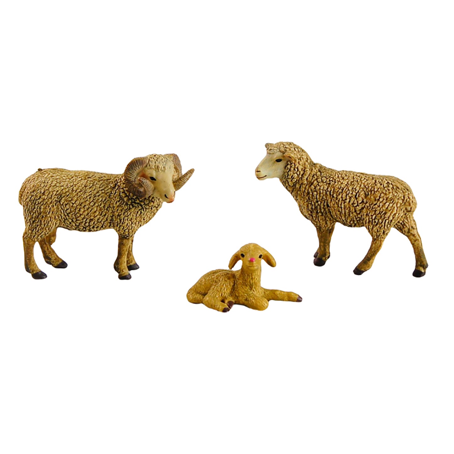 Animal Family- Sheep， Custom Text，Bilingual，Monolingual