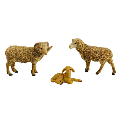 Animal Family- Sheep， Custom Text，Bilingual，Monolingual