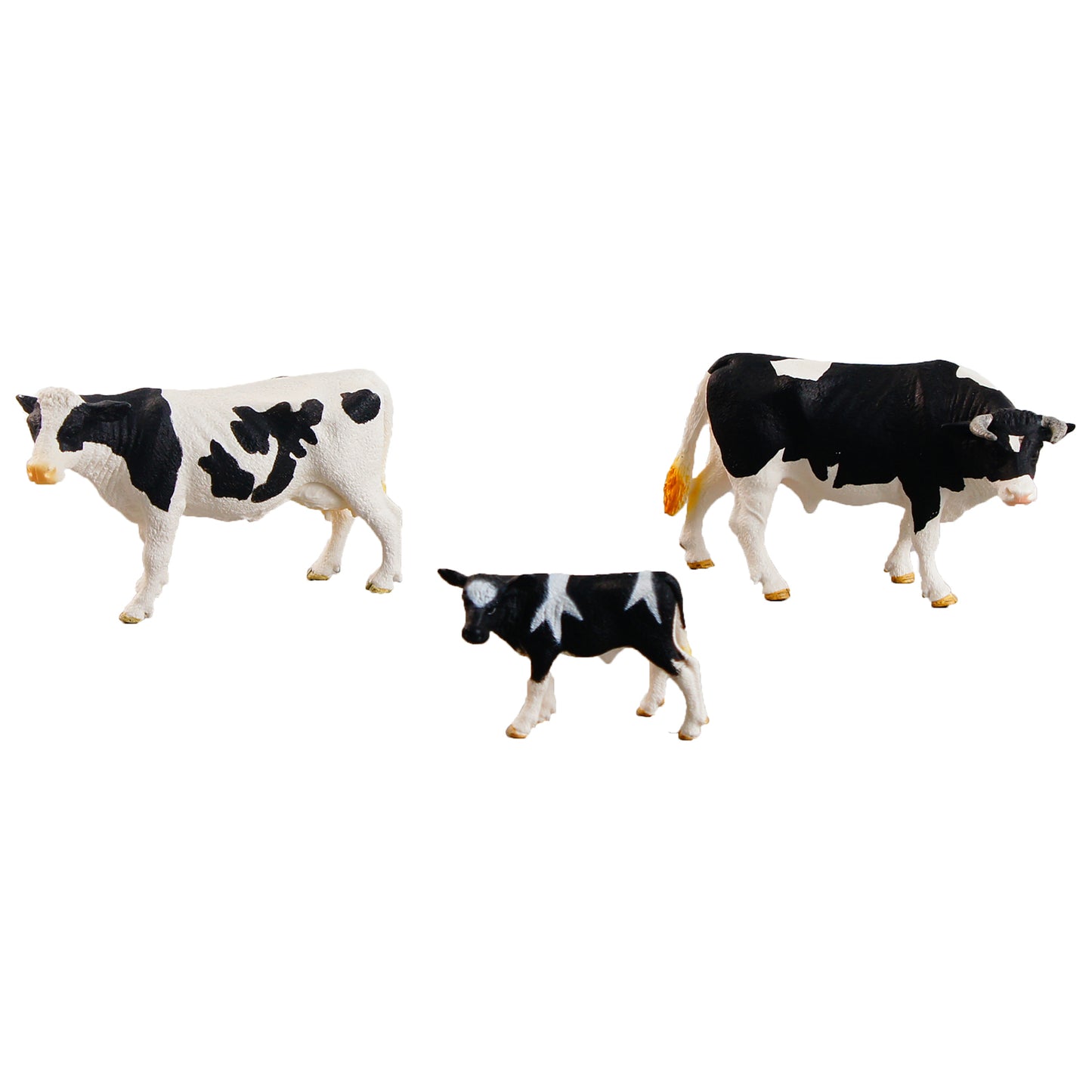 Animal Family- Cattle， Custom Text，Bilingual，Monolingual