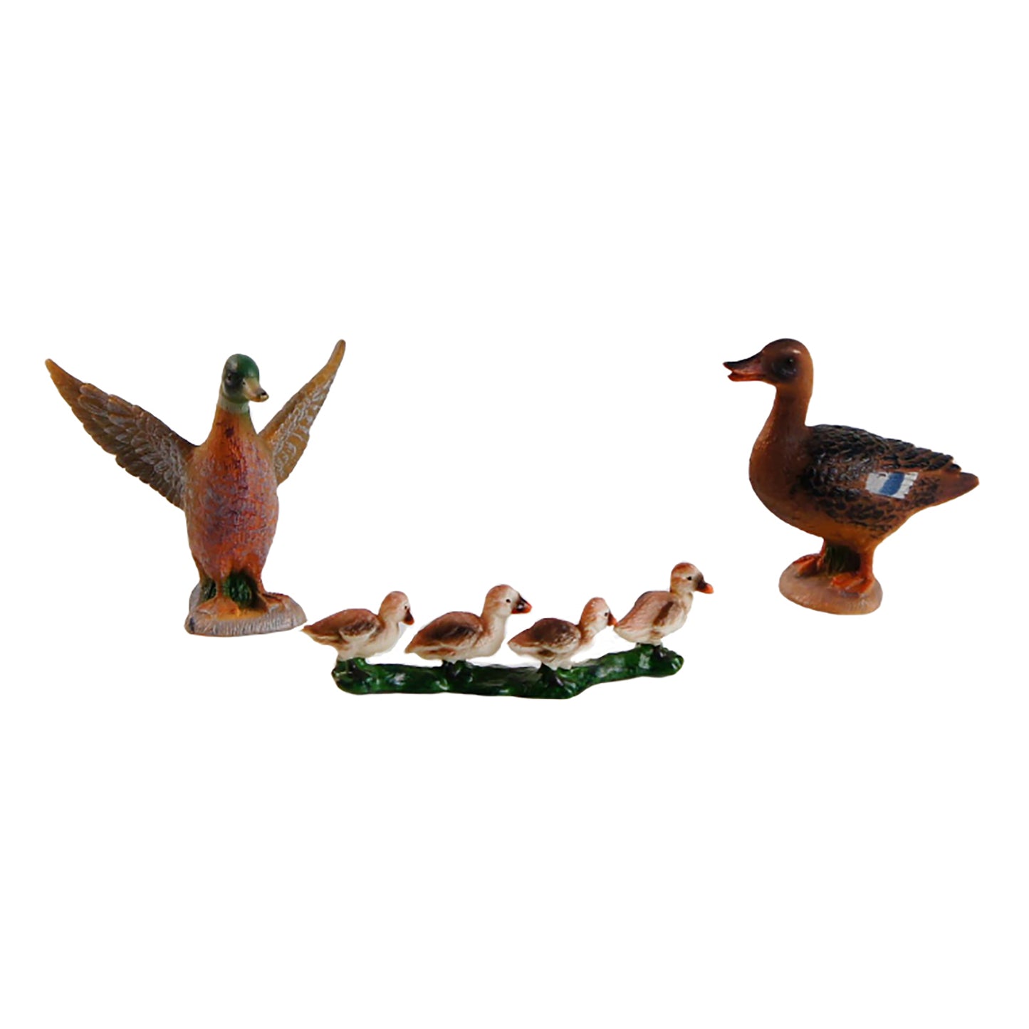 Animal Family- Duck， Custom Text，Bilingual，Monolingual