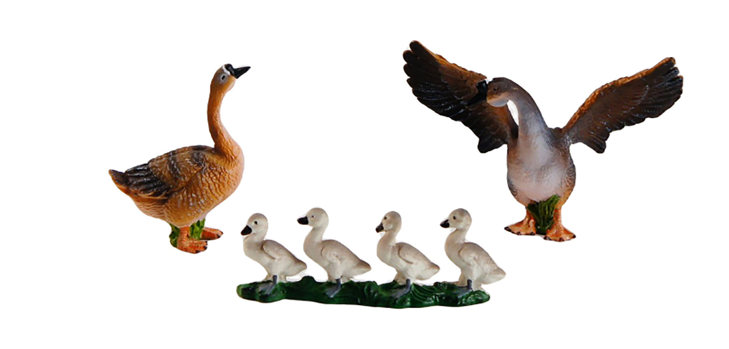 Animal Family- Goose， Custom Text，Bilingual，Monolingual