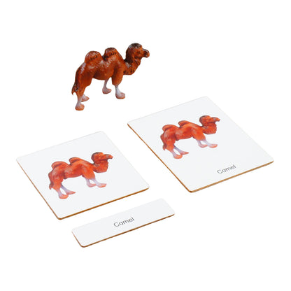 Mini Animaux continentaux – Asie, texte personnalisé, bilingue, monolingue