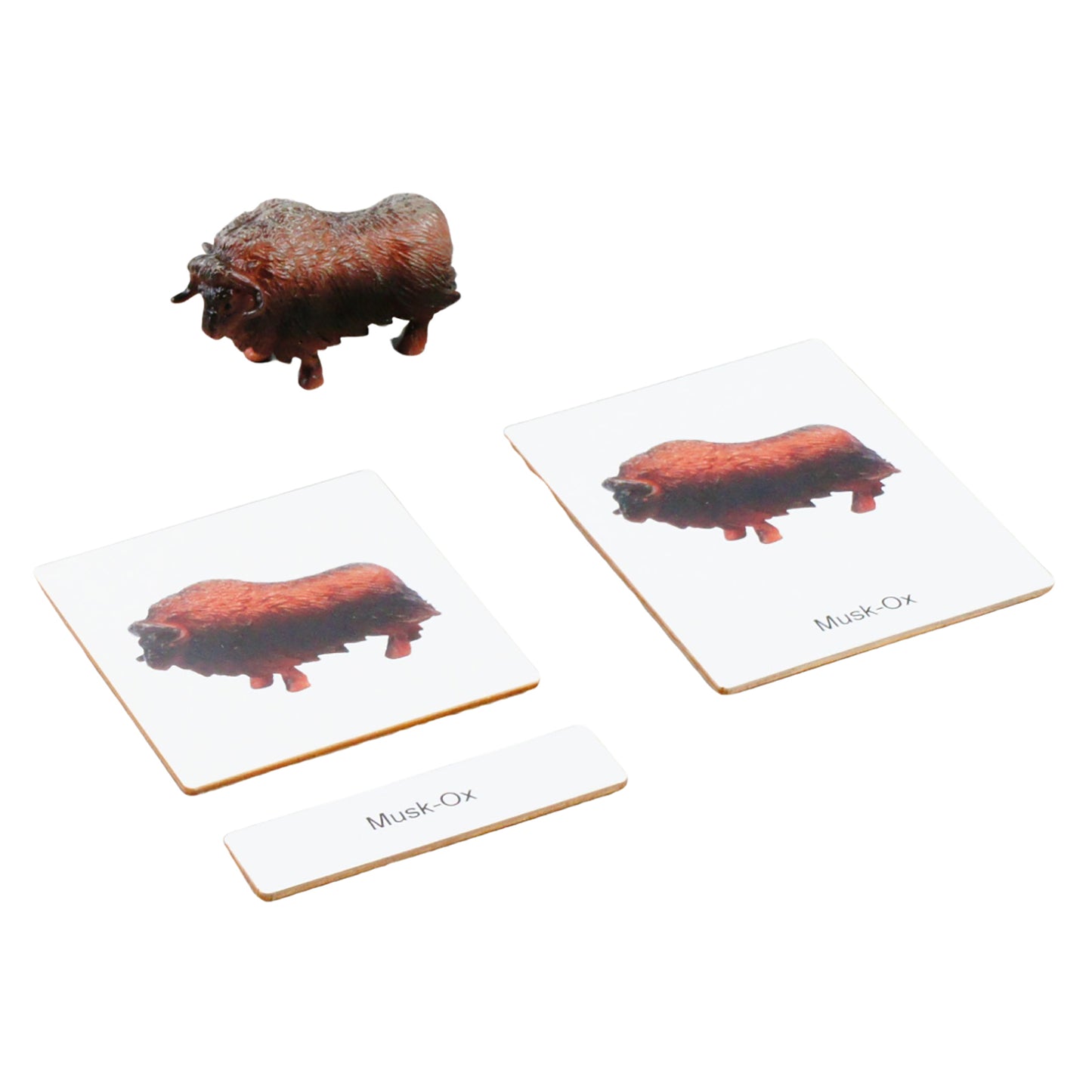 Mini Animaux continentaux – Polaire, texte personnalisé, bilingue, monolingue