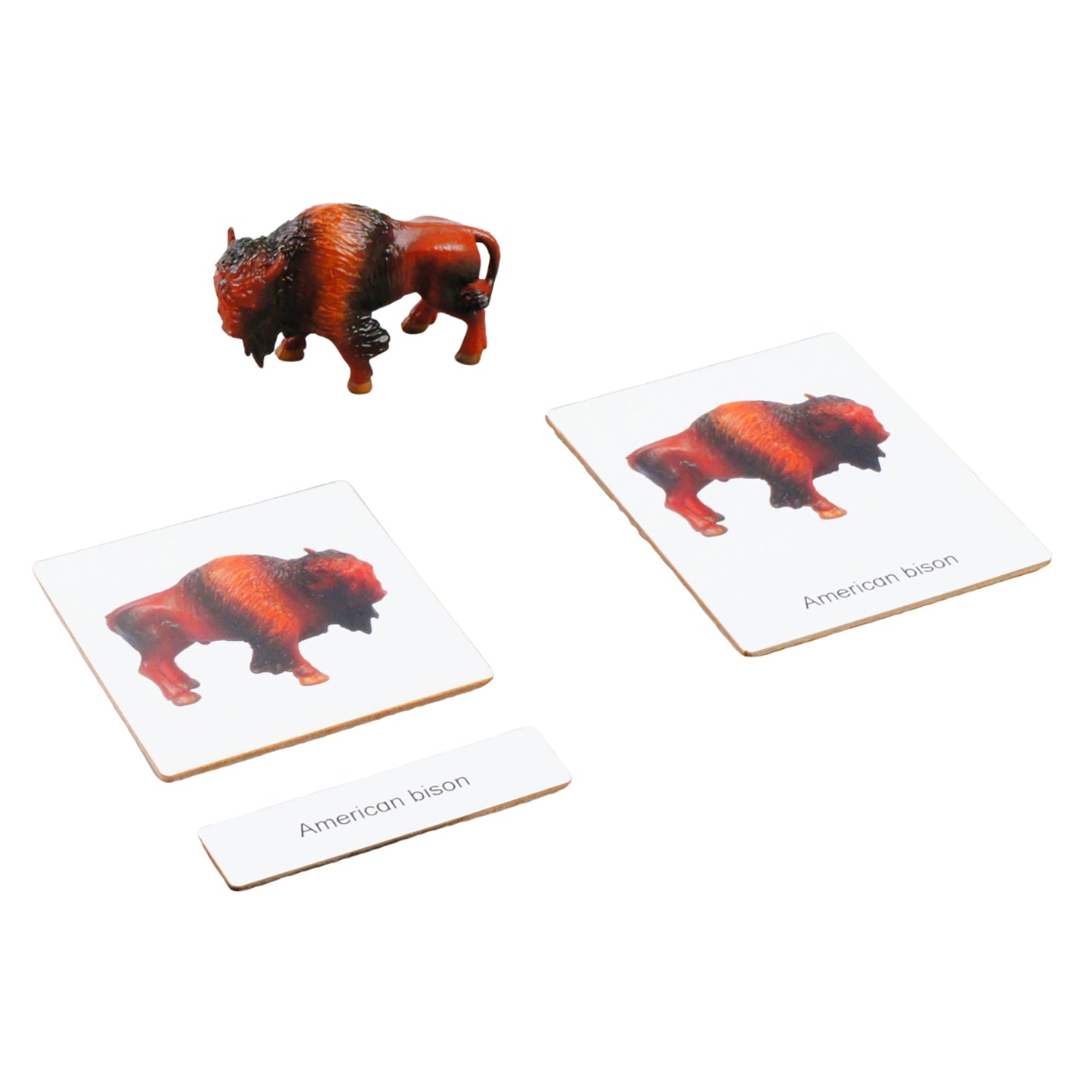 Mini-animaux continentaux – Amérique du Nord, texte personnalisé, bilingue, monolingue