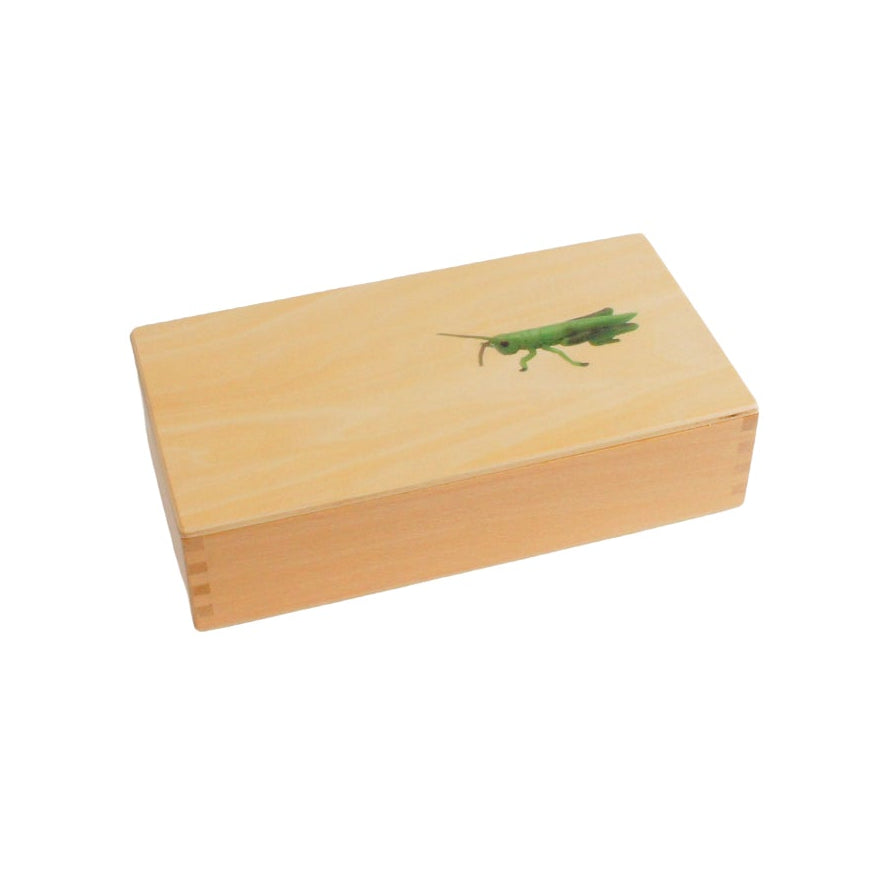 Life Cycle- Locust, Custom Text, Bilingual, Monolingual