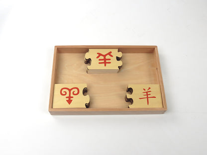 The evolution of Chinese character