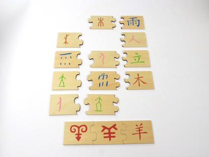 The evolution of Chinese character