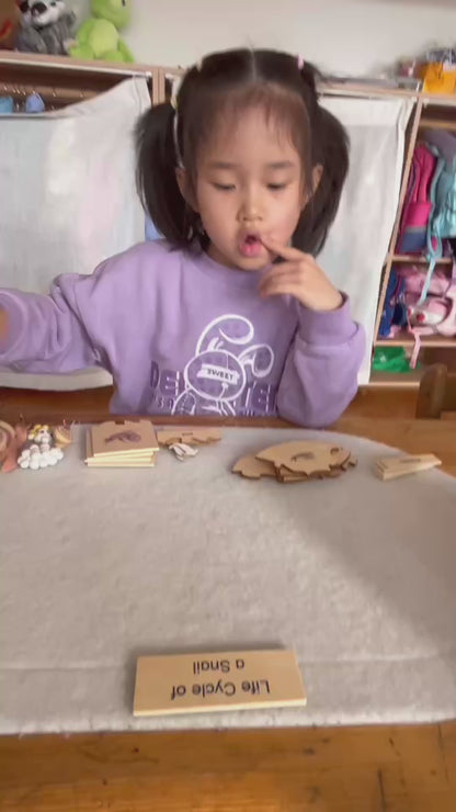 Life Cycle- Snail, Custom Text, Bilingual, Monolingual